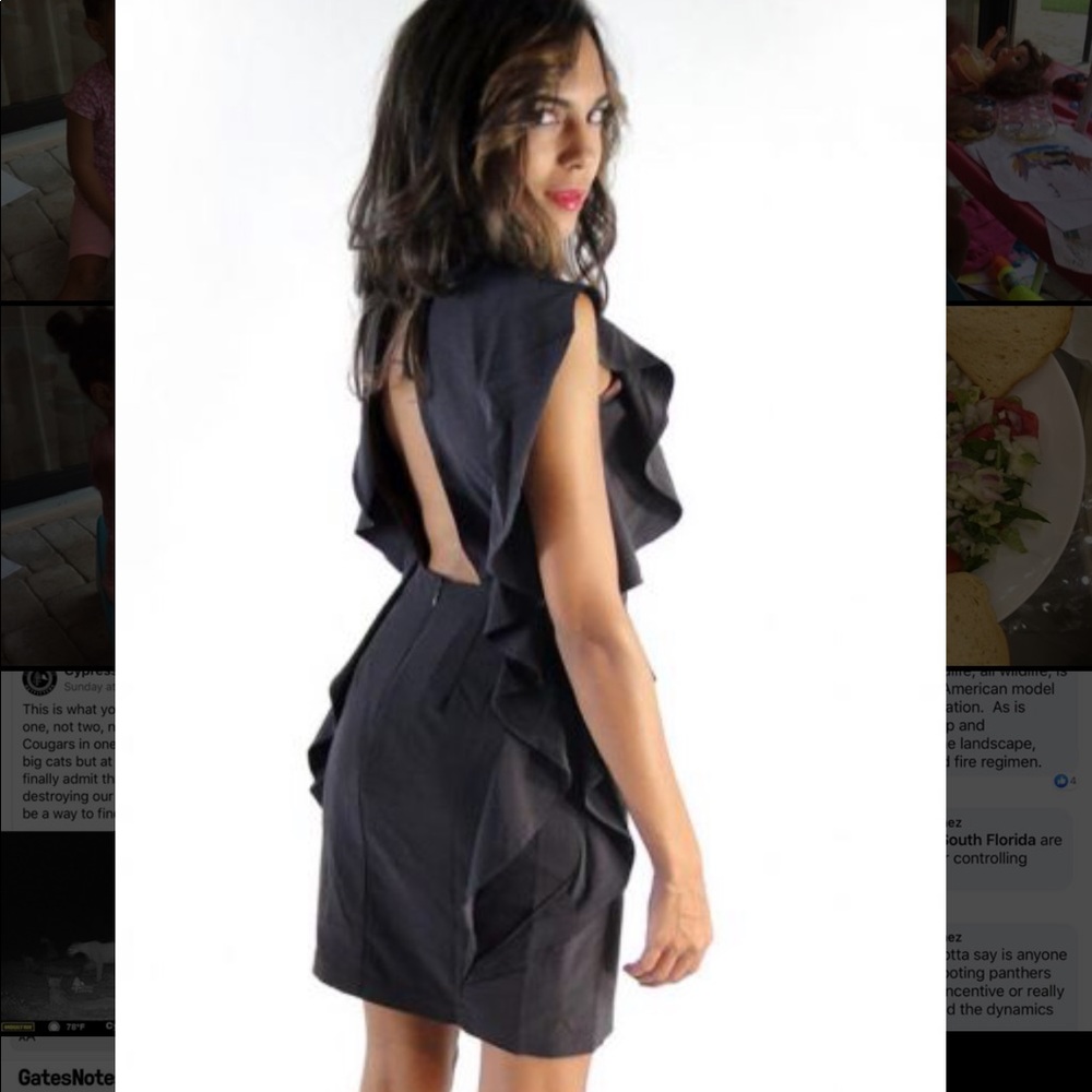 Eggplant Ruffled Dress